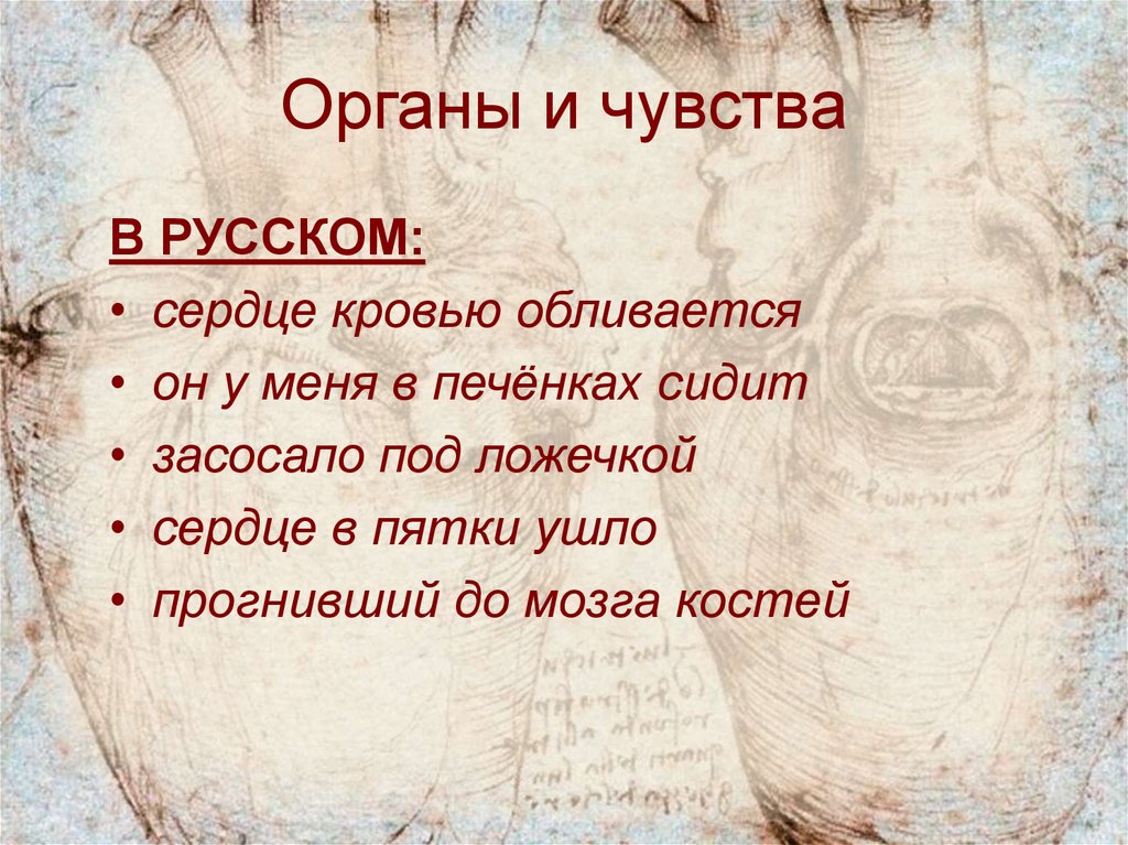 Засосало под ложечкой это. Засосало под ложечкой. Засосать под ложечкой значение. Ощущение что сердце обливается кровью. Засосало под ложечкой это как.