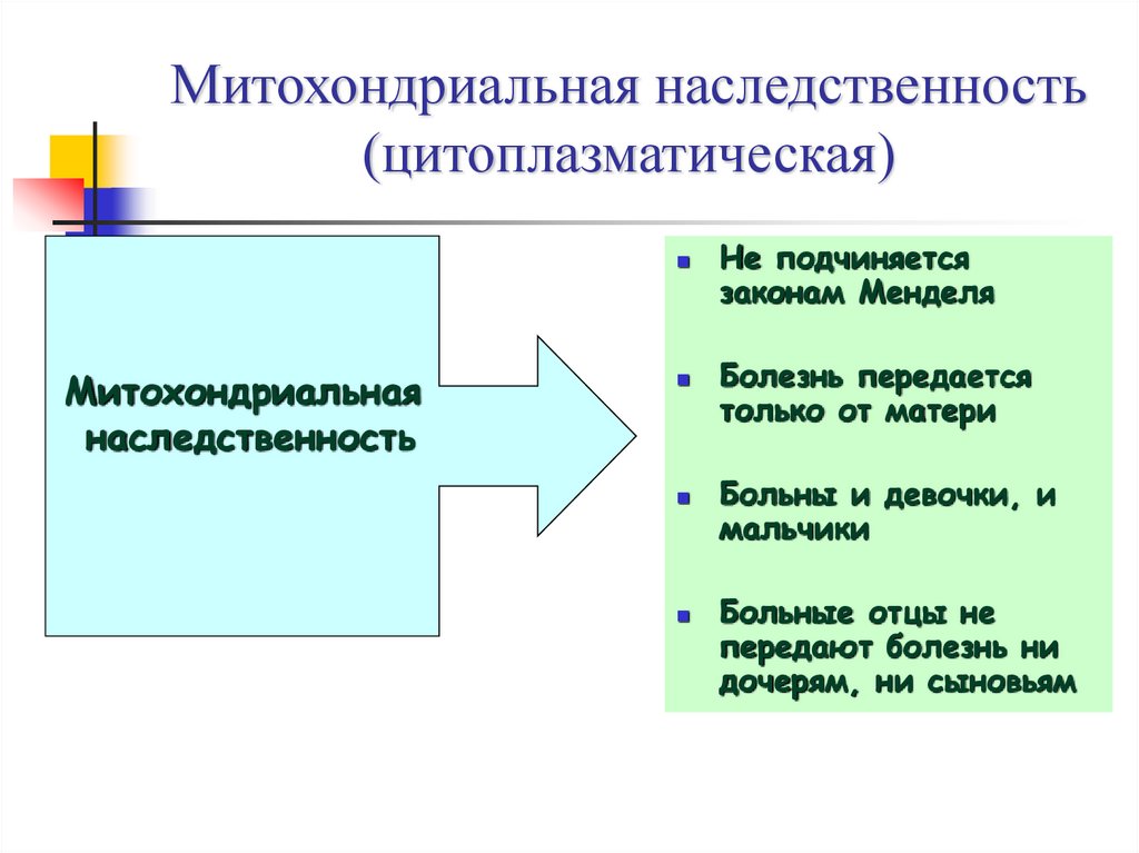 Цитоплазматическая наследственность презентация