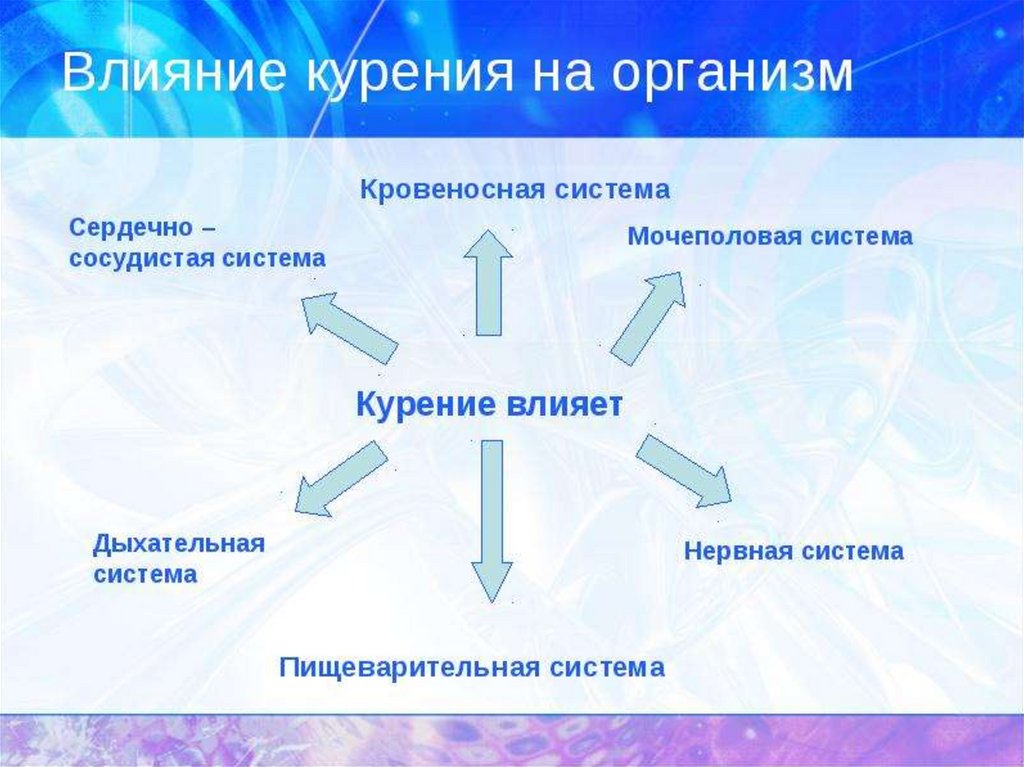 Влияние курения на организм. Схема влияние курения. Влияние курения на организм человека схема. Влияние курения на системы органов.