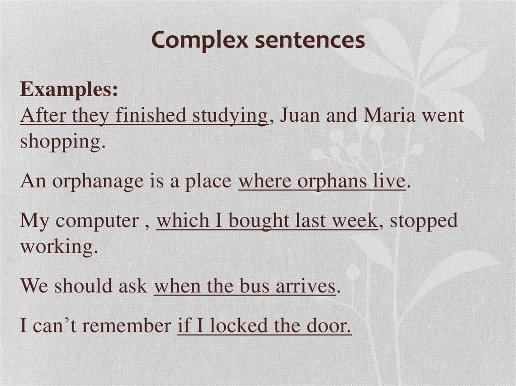 Complex sentence что это