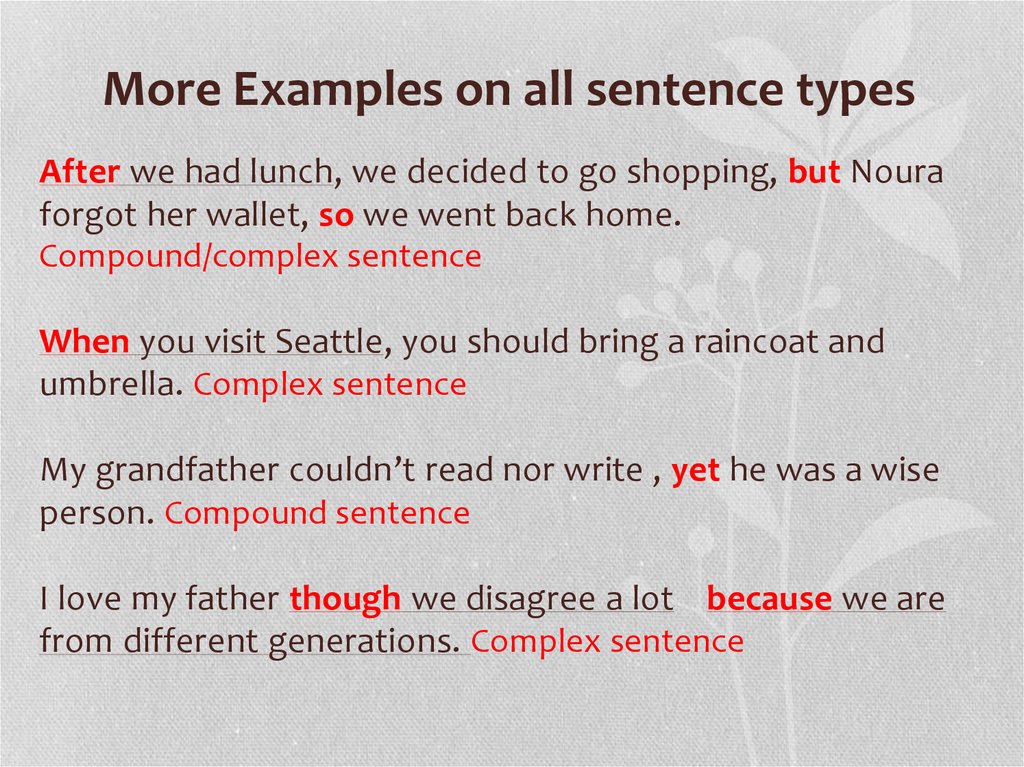 Types Of Sentences Online Presentation