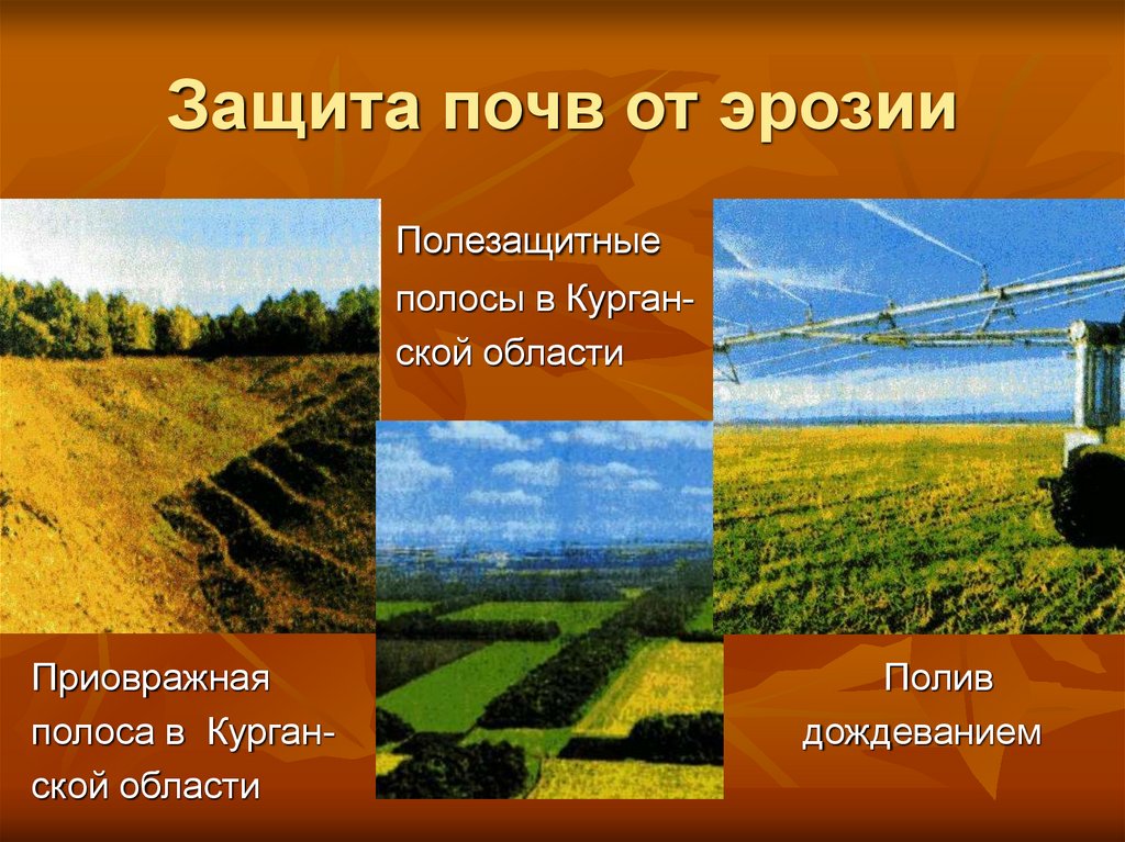 Для защиты почвы на полях необходимо. Защита почвы. Эрозия почв, защита почв от эрозии. Меры по защите почв от эрозии. Защита почвы от водной эрозии.