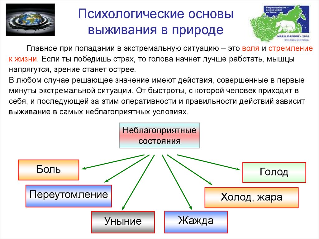 Способы выживания в природе проект