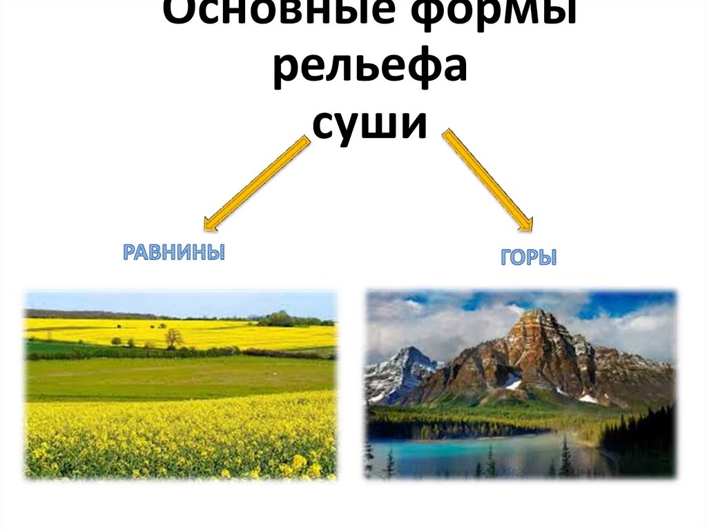 Рельеф суши горы