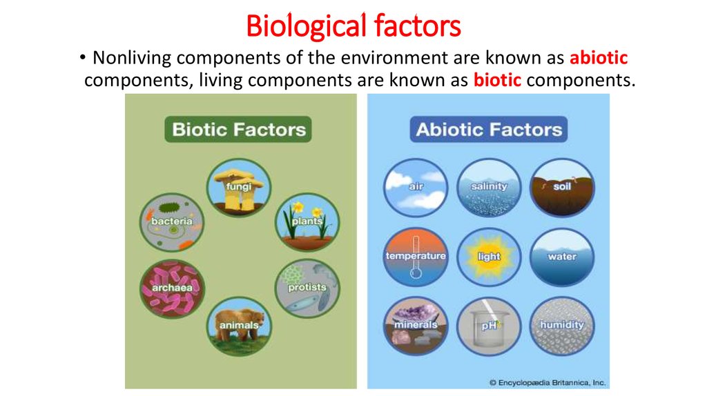 Non Biological Factors Examples