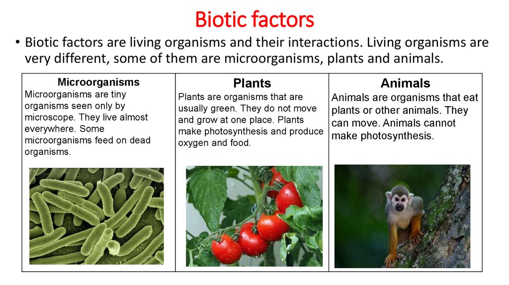 Biotic factors.