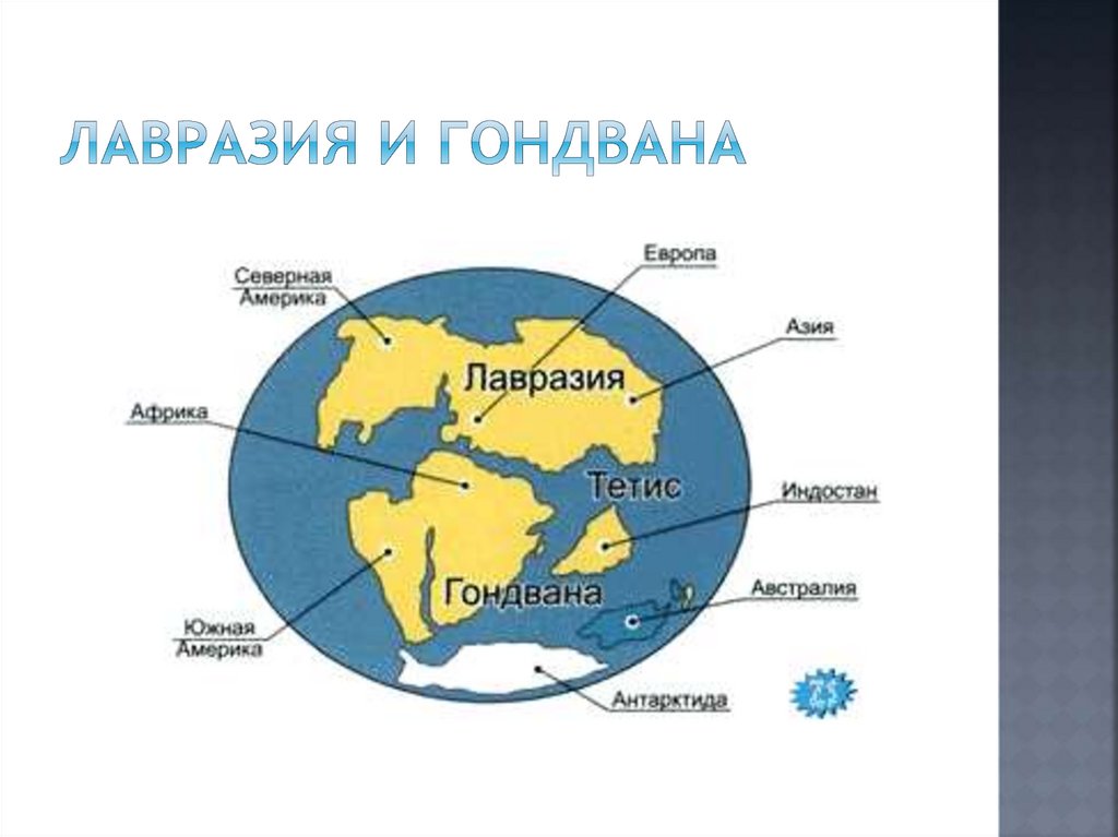 Название какого материка произошло. Древние материки Пангея Лавразия Гондвана. Пангея Лавразия и Гондвана. Континент Гондвана. Гондвана и Пангея на карте.