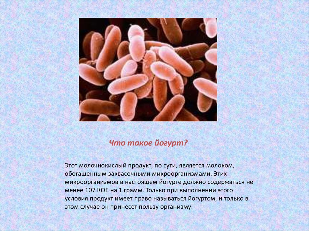 Микроорганизмы кое
