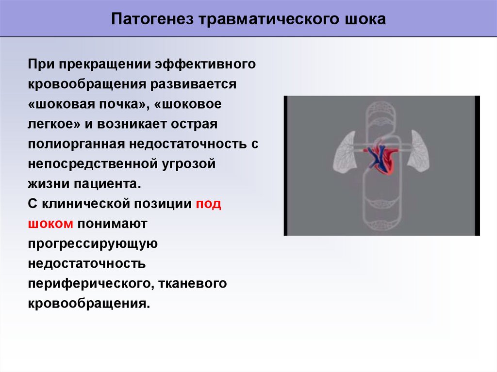 Травматический шок хирургия презентация