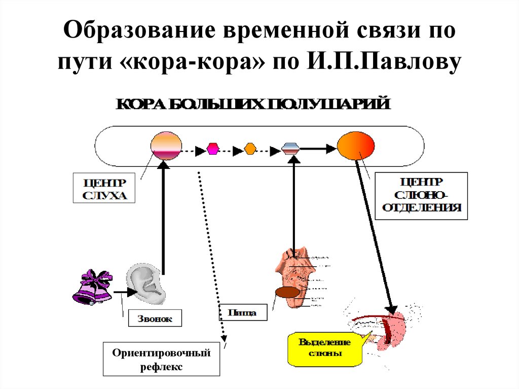 Временной связь