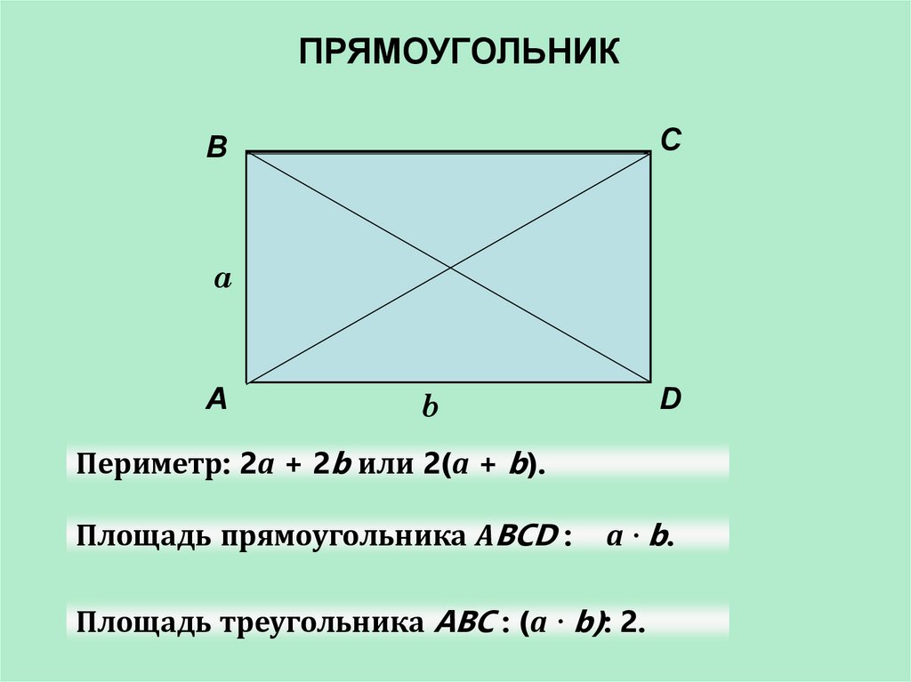 Прямоугольник 13 на 5. Прямоугольник. Площадь прямоугольника. Найти площадь прямоугольника. Площадь прямоугольного четырехугольника.