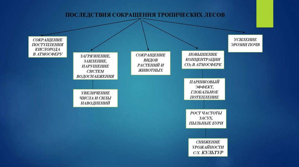 Экосистемное разнообразие и деятельность человека 7 класс презентация