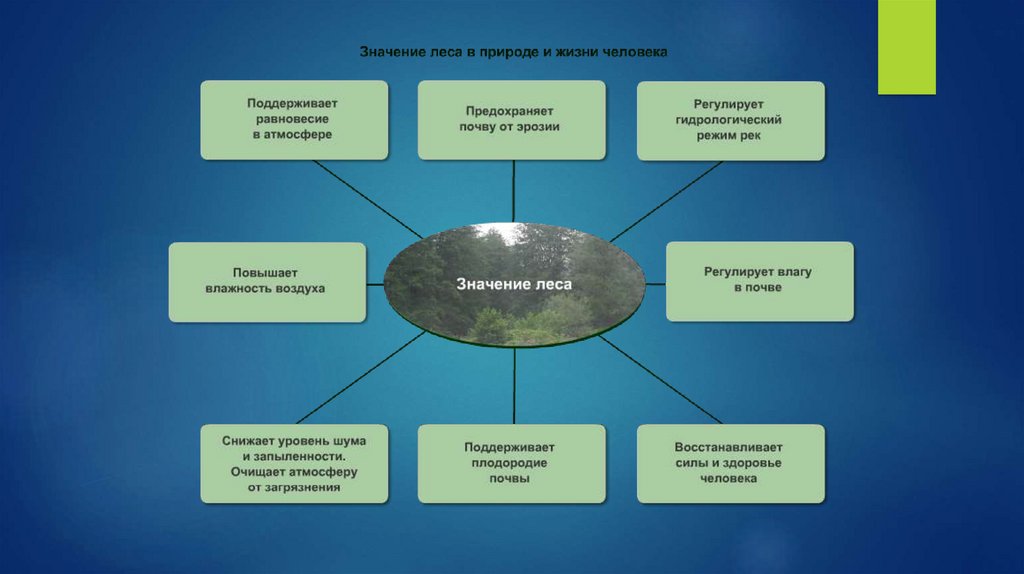 Экосистемное разнообразие и деятельность человека 7 класс презентация