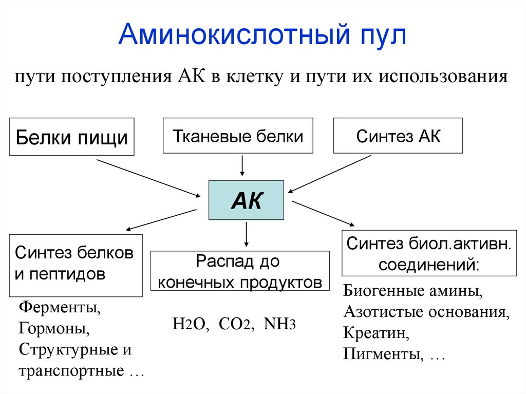 Схема применение аминокислот