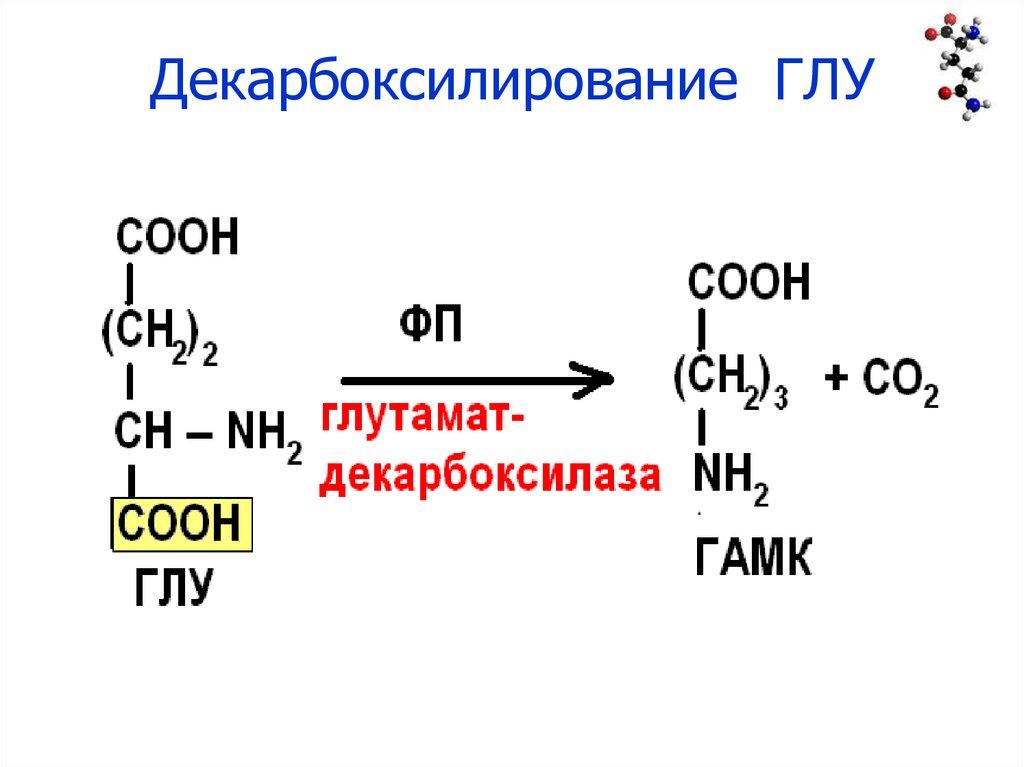 Декарбоксилирование атф