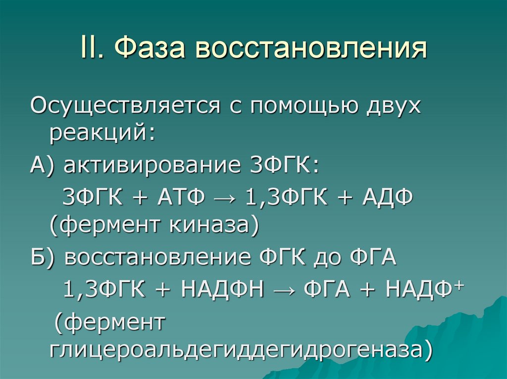 Фазы восстановления. Восстановление 3 фазы. Фазы восстановления в физиологии. Ранняя фаза восстановления.