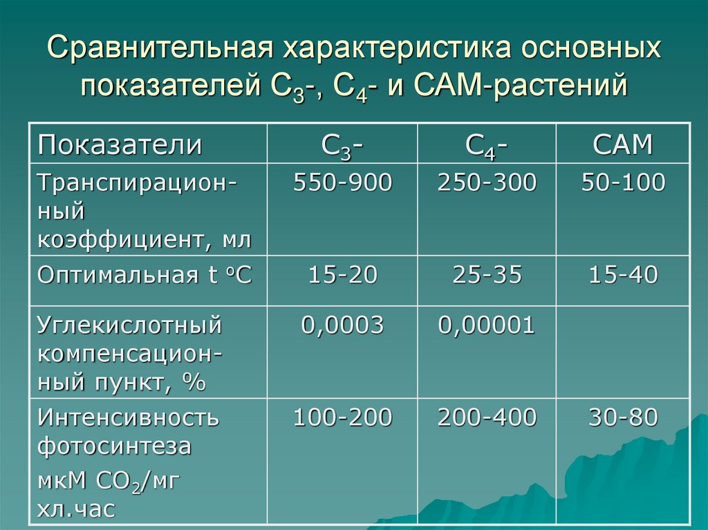 Сравнительная характеристика фаз фотосинтеза