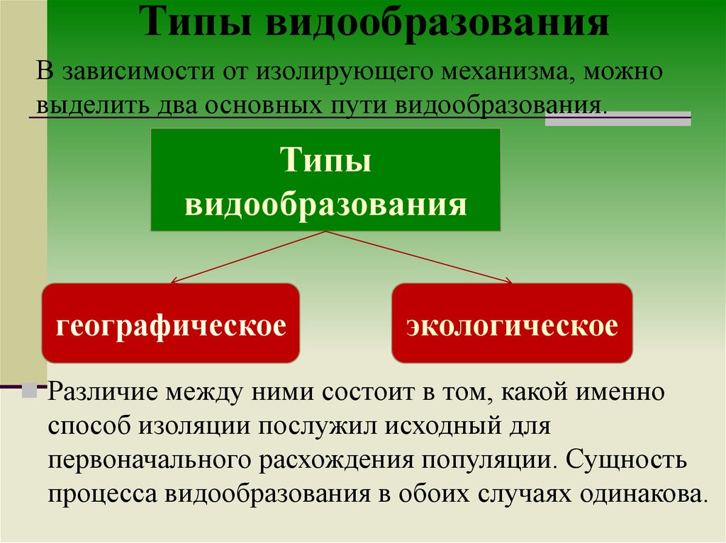 Создайте схему на тему типы видообразования в природе