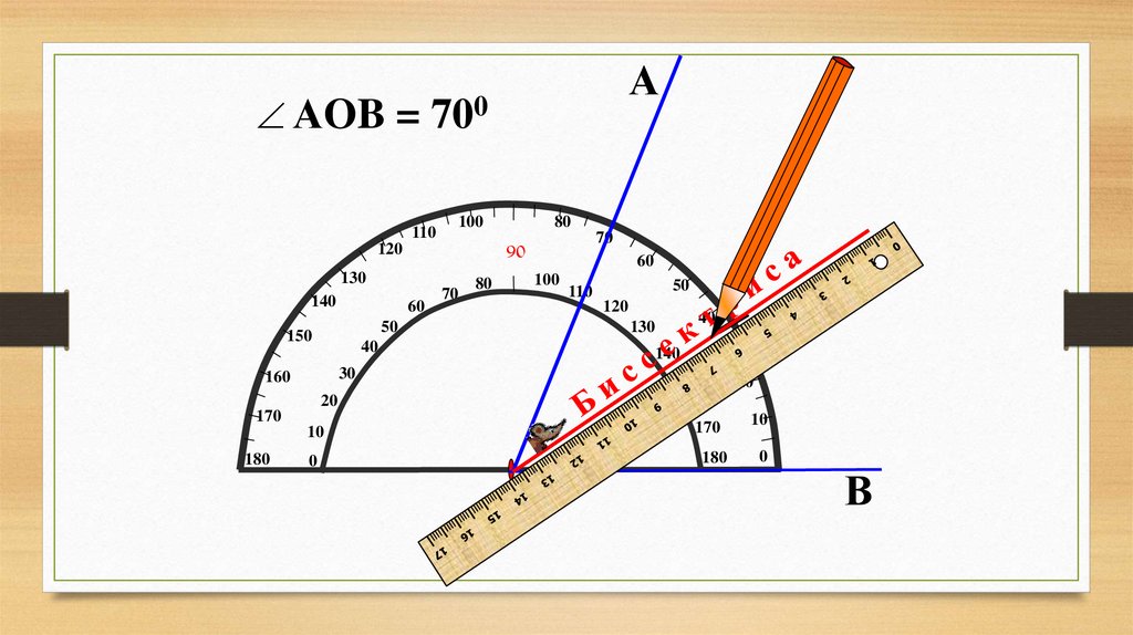 Презентация построение и измерение углов 5 класс презентация