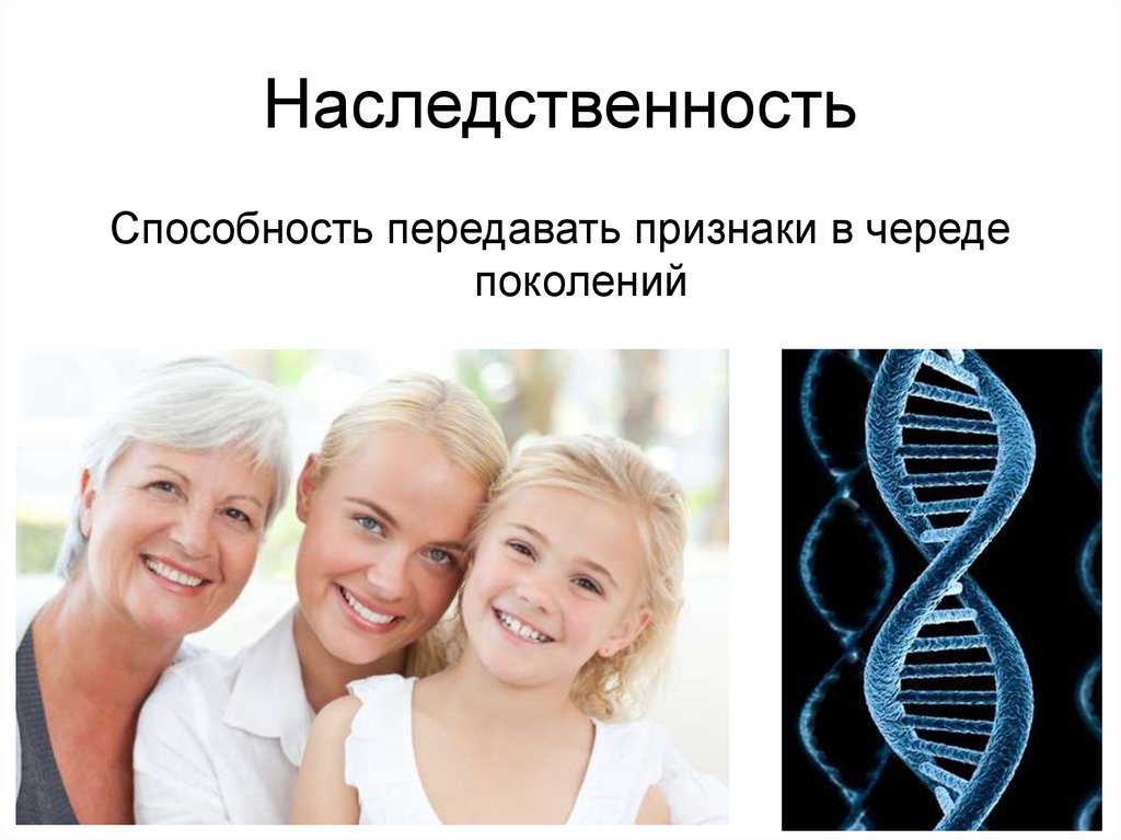 Наследственность фото для презентации