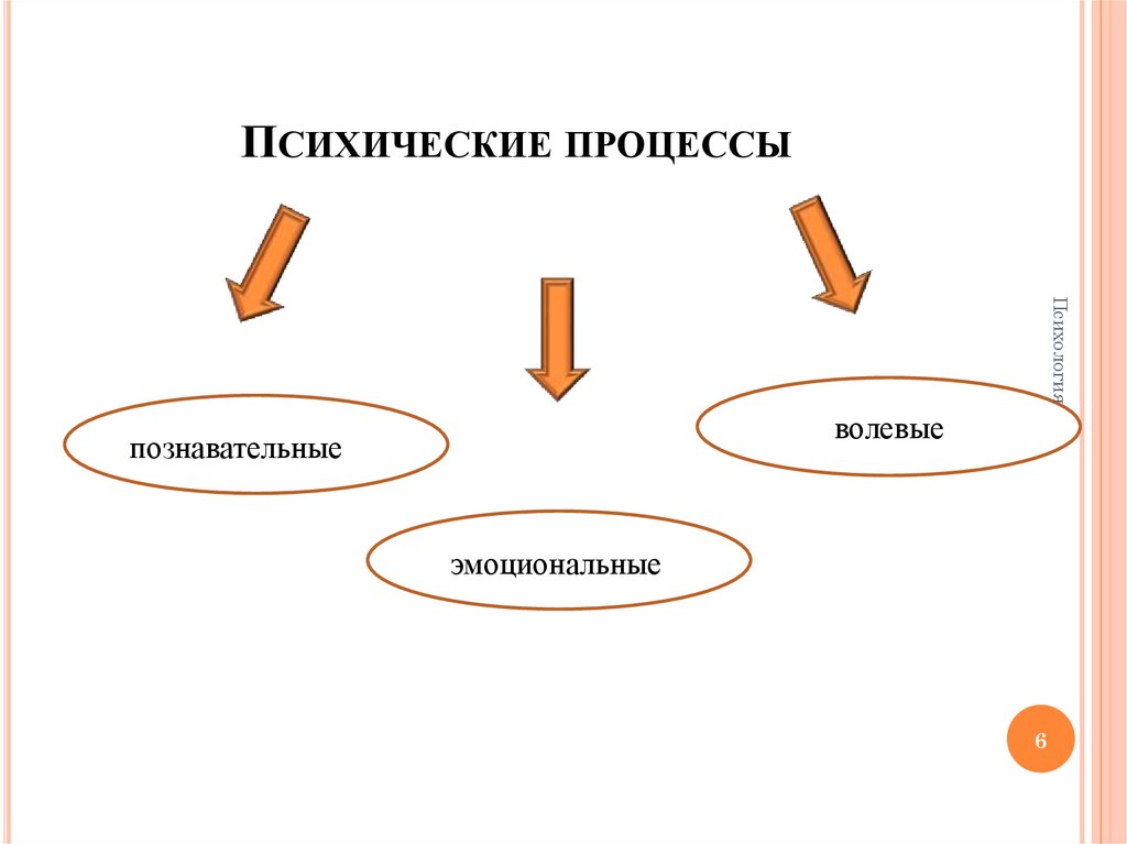 Свойства психических процессов. Психические процессы. Психические процессы схема. Психические процессы в психологии. Познавательные психические процессы.