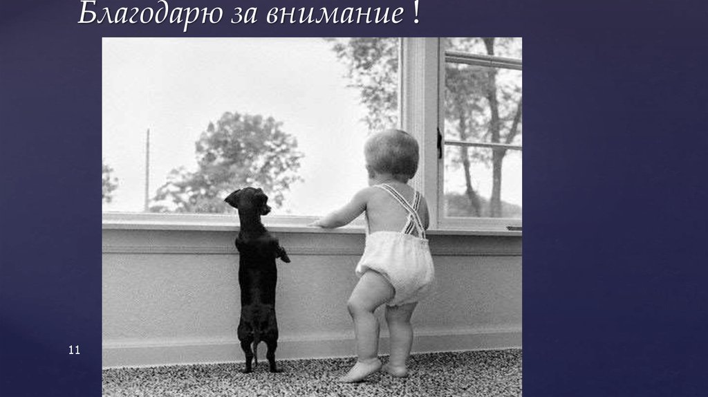 Благодарю за внимание !