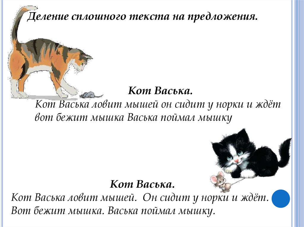 Котята играют предложение. Текст про кота. Предложение со словом кот. Предложение про котика. Текст про кота 1 класс.
