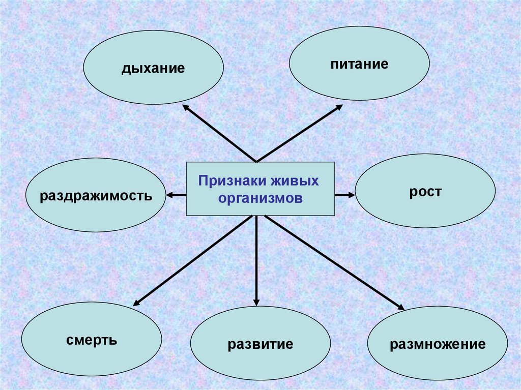 Записать науки о природе