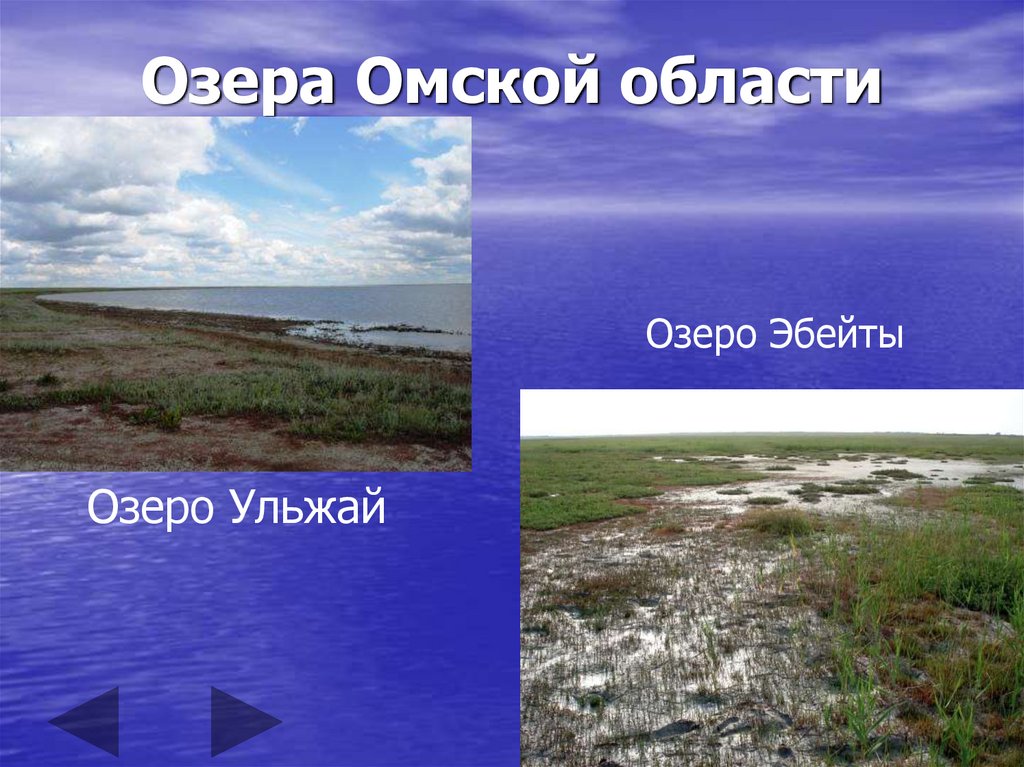 Перечисли 5 озер. Водоемы Омской области. Озера Омской области. Крупные озера Омской области. Самые большие озера Омской области.