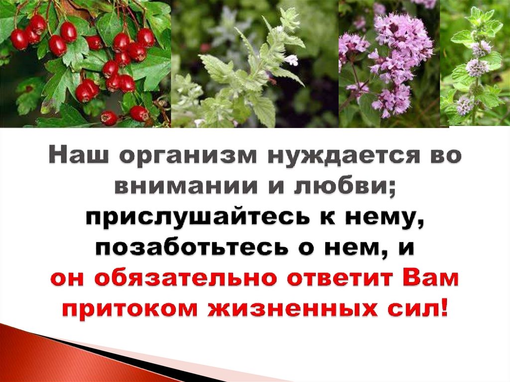 Наш организм нуждается во внимании и любви; прислушайтесь к нему, позаботьтесь о нем, и он обязательно ответит Вам притоком