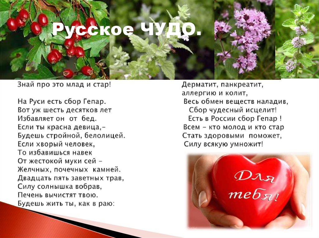 Знай про это млад и стар! Дерматит, панкреатит, аллергию и колит, На Руси есть сбор Гепар. Весь обмен веществ наладив, Вот уж