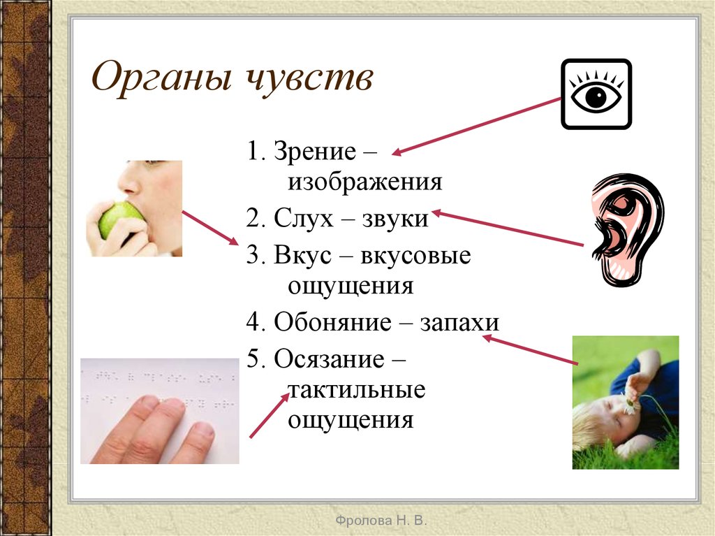 Ощущение 4. Система органов чувств схема. Чувства человека осязание обоняние список. Органы человека зрения слуха обоняния вкуса осязания. 5 Чувств - осязание обоняние слух зрение.