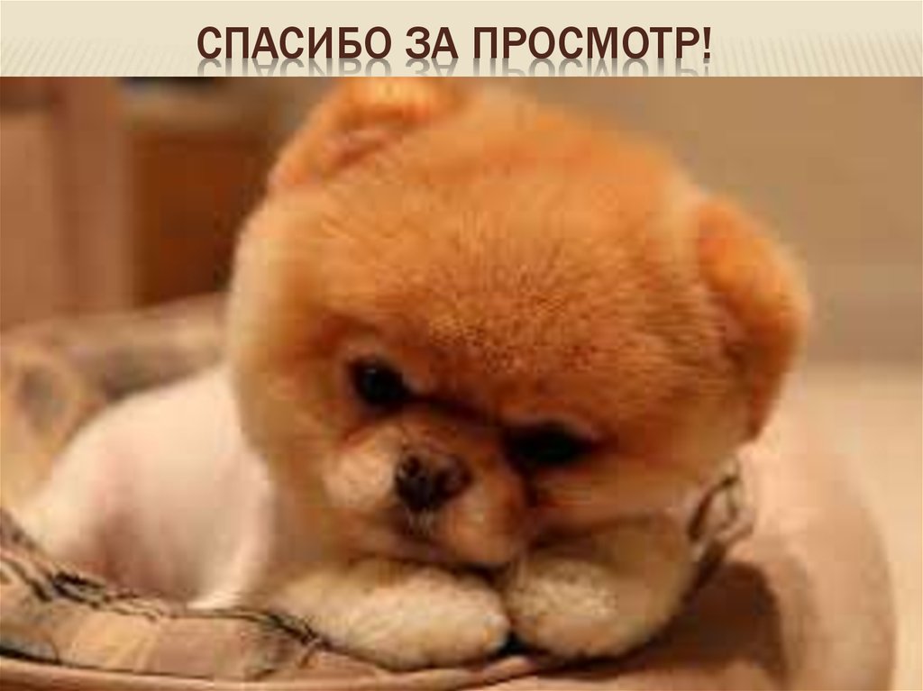 Спасибо за просмотр!