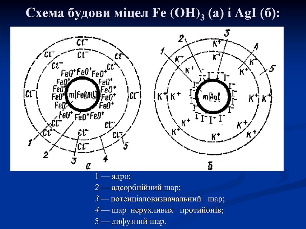 Схема будови міцел Fe (OH)3 (a) і AgI (б):