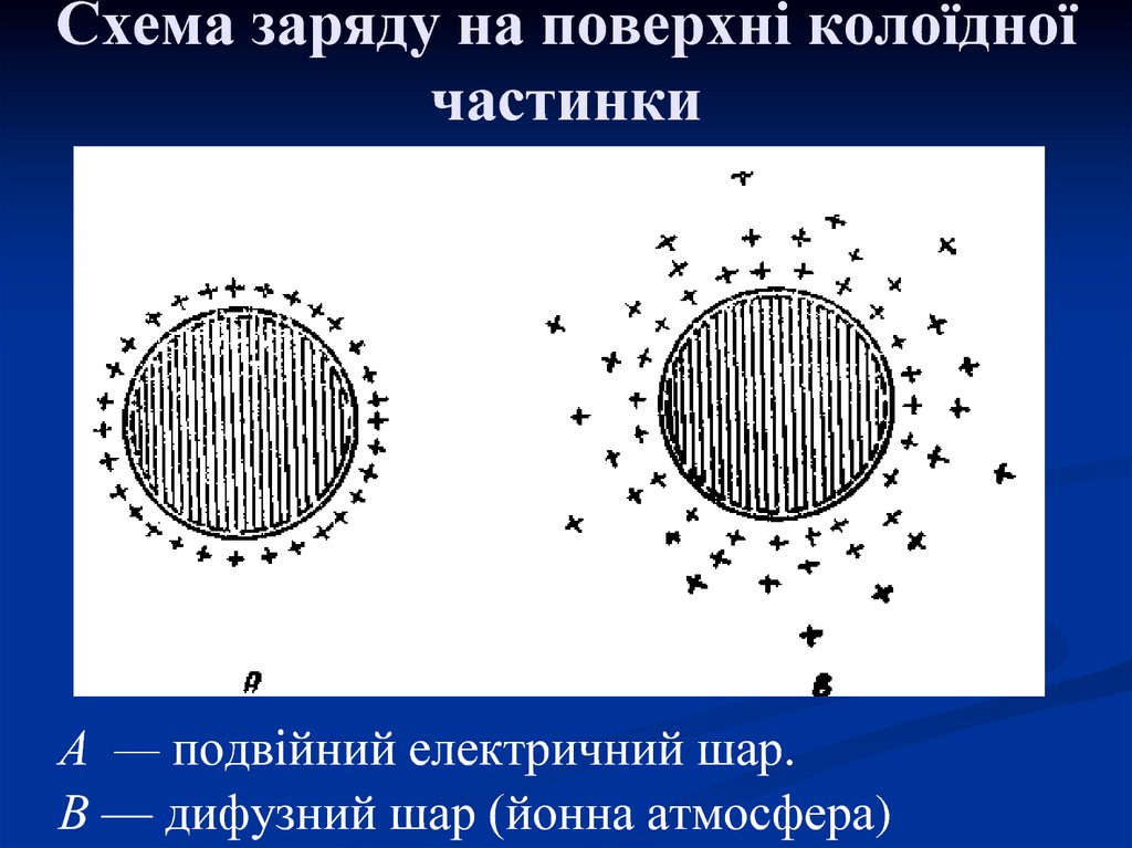 Схема заряду на поверхні колоїдної частинки