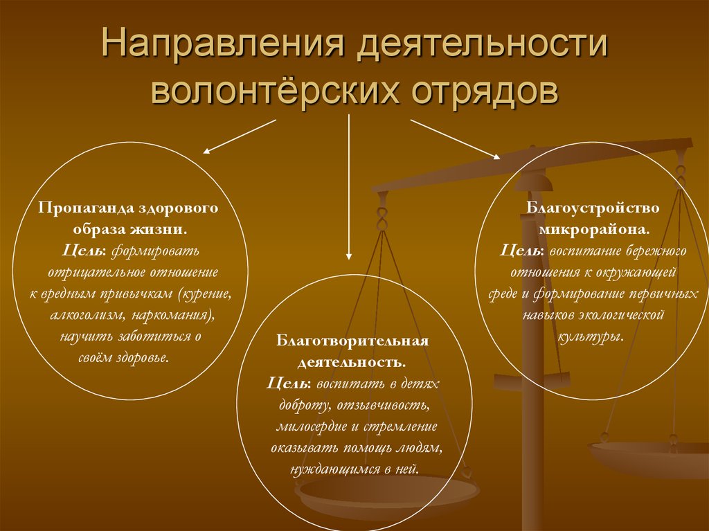 3 направления деятельности