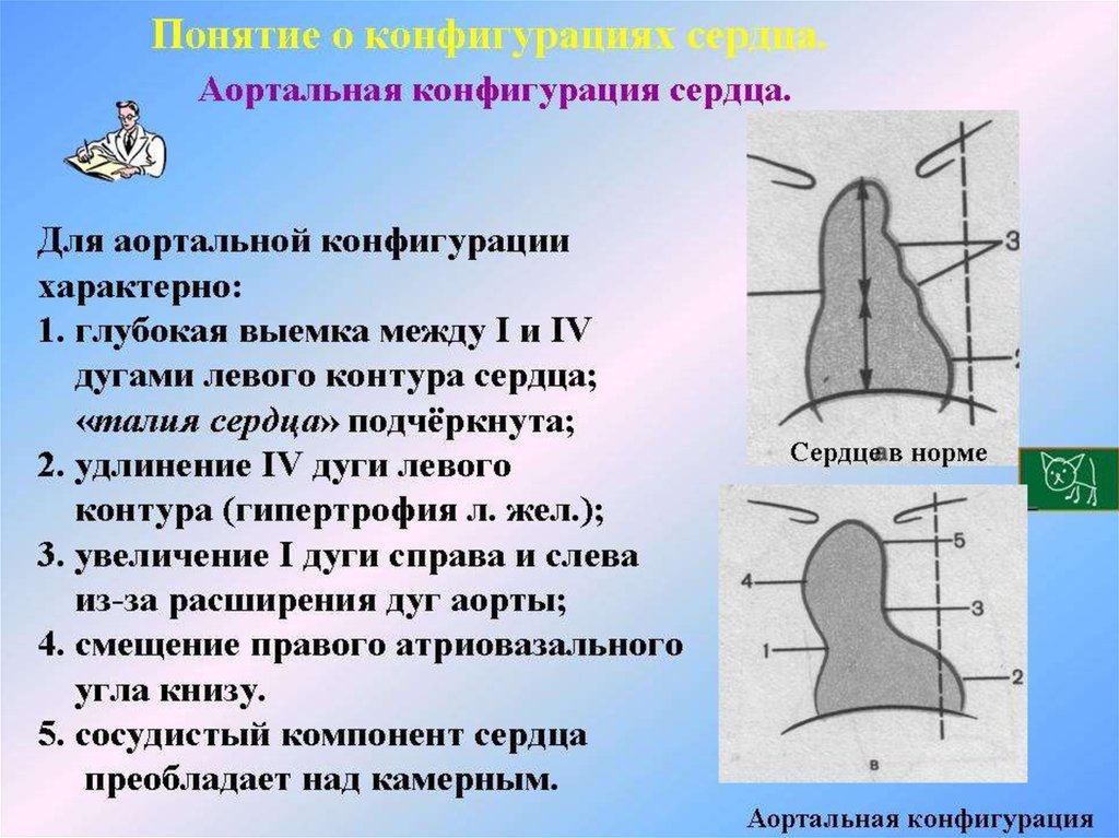 Конфигурация сердца