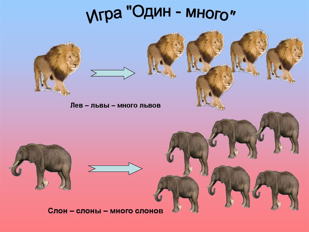 Как переводится лев