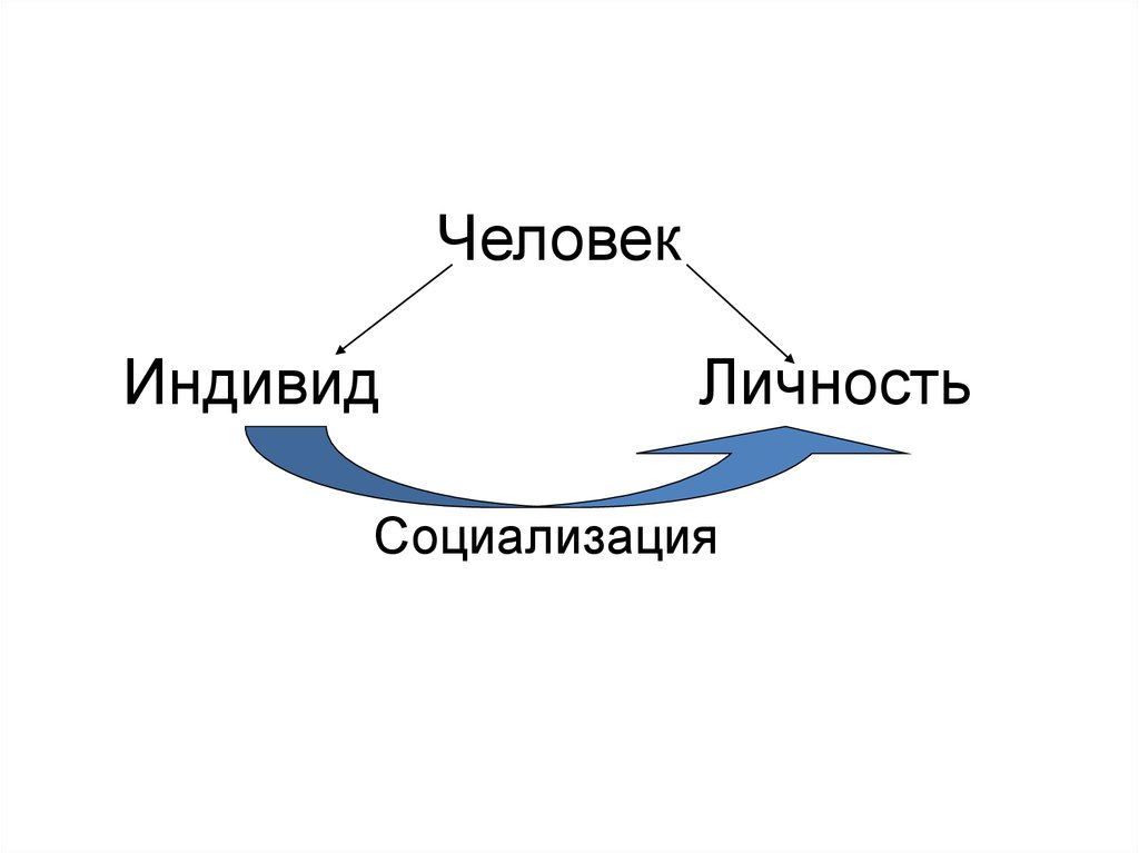 Человек индивид личность в философии презентация