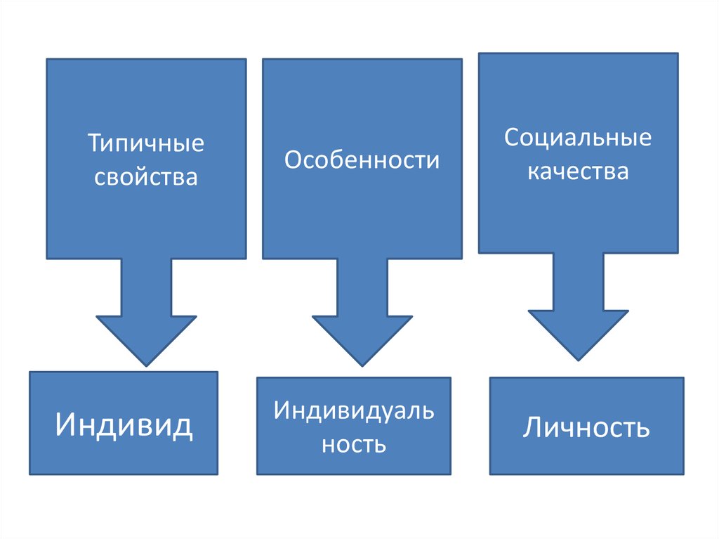 Типичное поведение. Социальная типичность это. Социальная типичность пример.