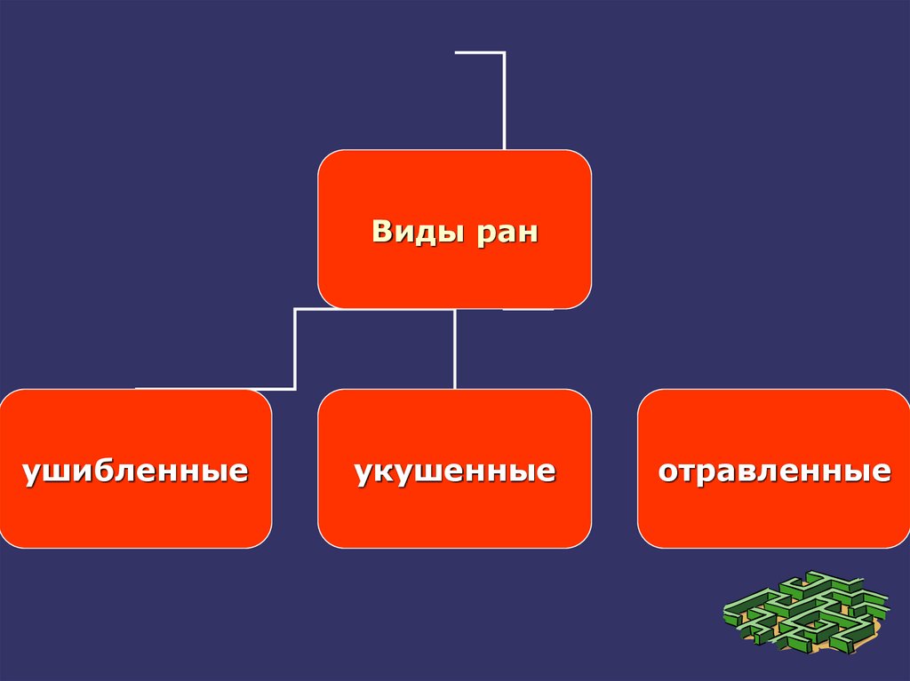 Характеристика ран. Классификация РАН И кровотечений. Отравленные раны характеристики.