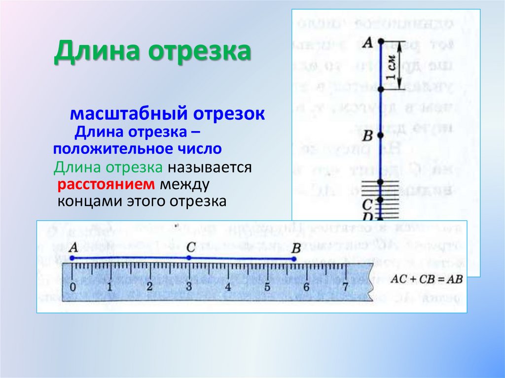 Записаны измерения отрезков