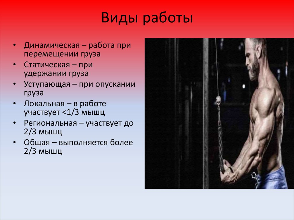 Виды работы