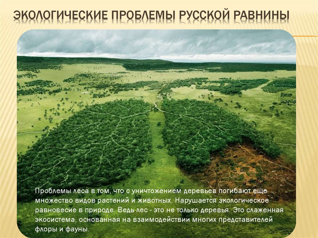 Реферат: Проблемы рационального использования ресурсов Русской равнины