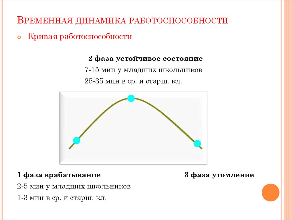 Динамика работоспособности режим дня презентация 8 класс