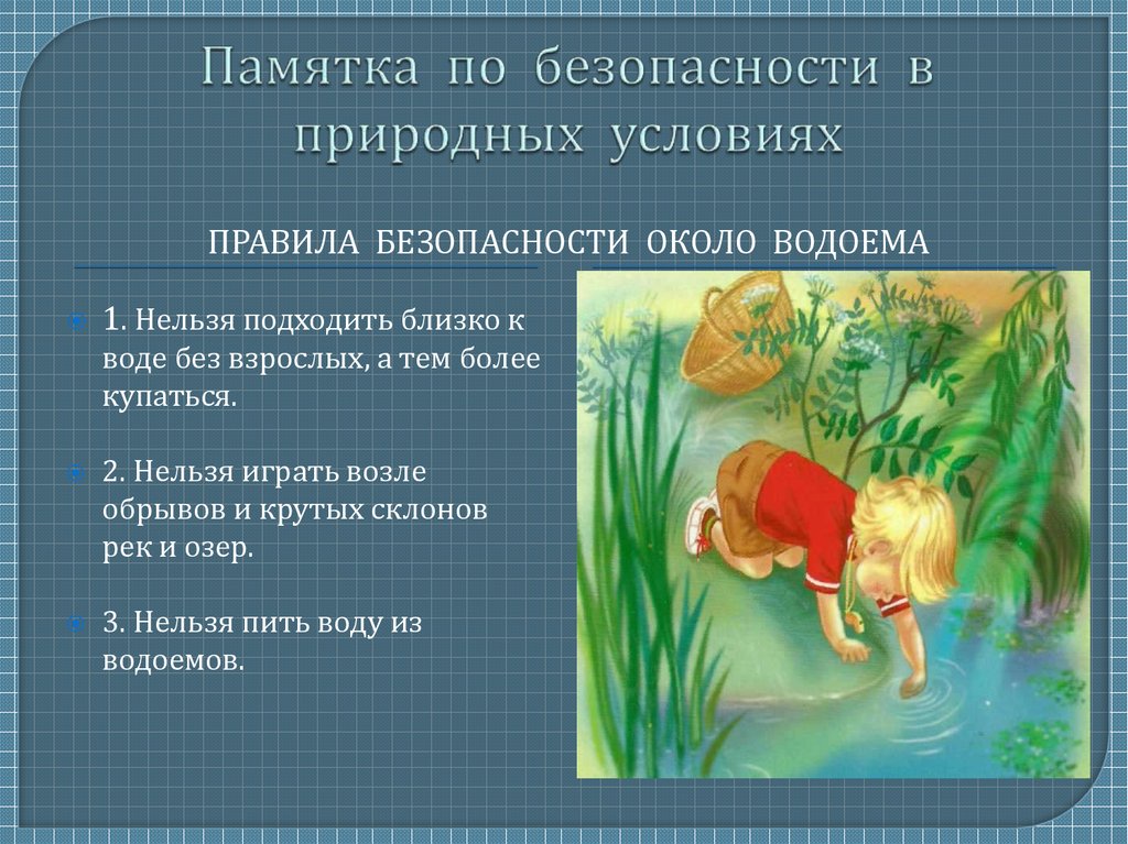 Безопасность при отдыхе на природе презентация