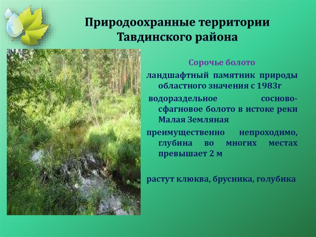 Памятник природы областного значения. Природоохранные территории. Ландшафтные памятники природы.