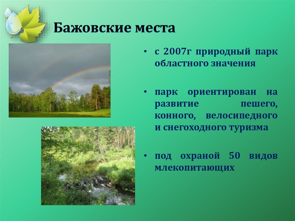 Охраняемые природные территории свердловской области. Бажовские места природный парк. Заповедники Свердловской области. Бажовские места природный парк сообщение. Растения в Бажовских местах.