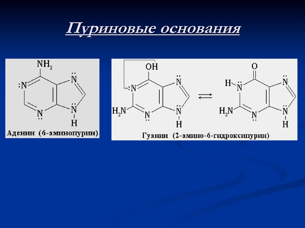 Аденин соответствует