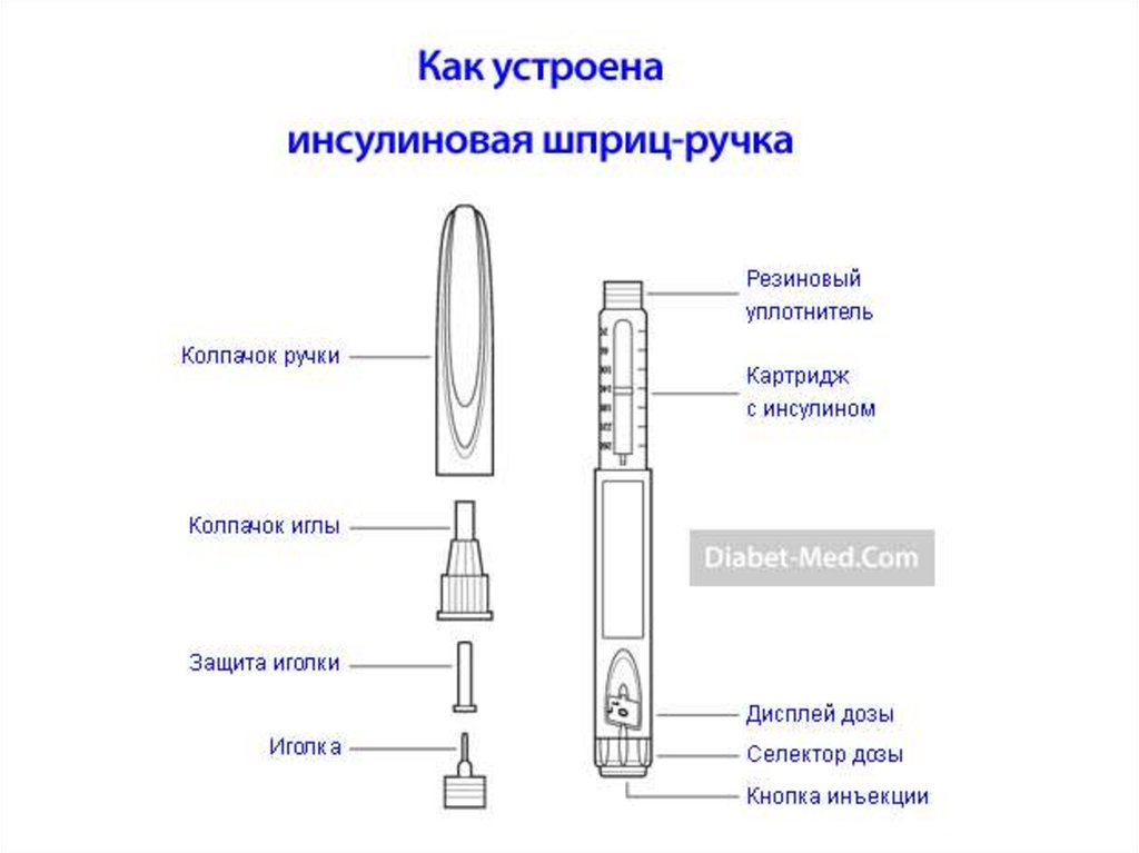 Как пользоваться шприцом. Шприц- ручка инсулиновый конструкция. Строение шприц ручки инсулина. Строение шприца для инсулина. Строение инсулинового шприца.